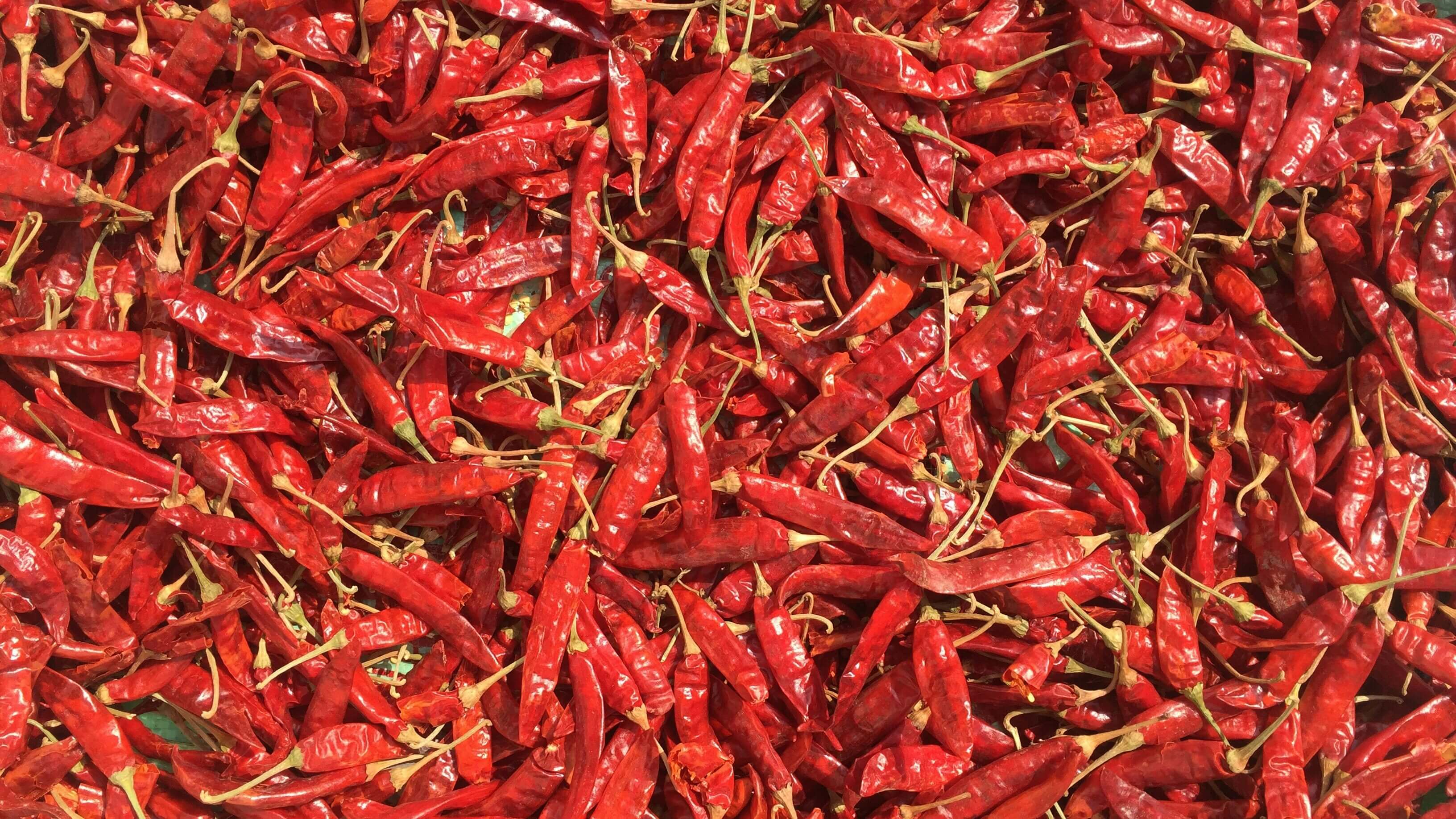 Red Chili